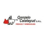 Gonzalo Calatayud